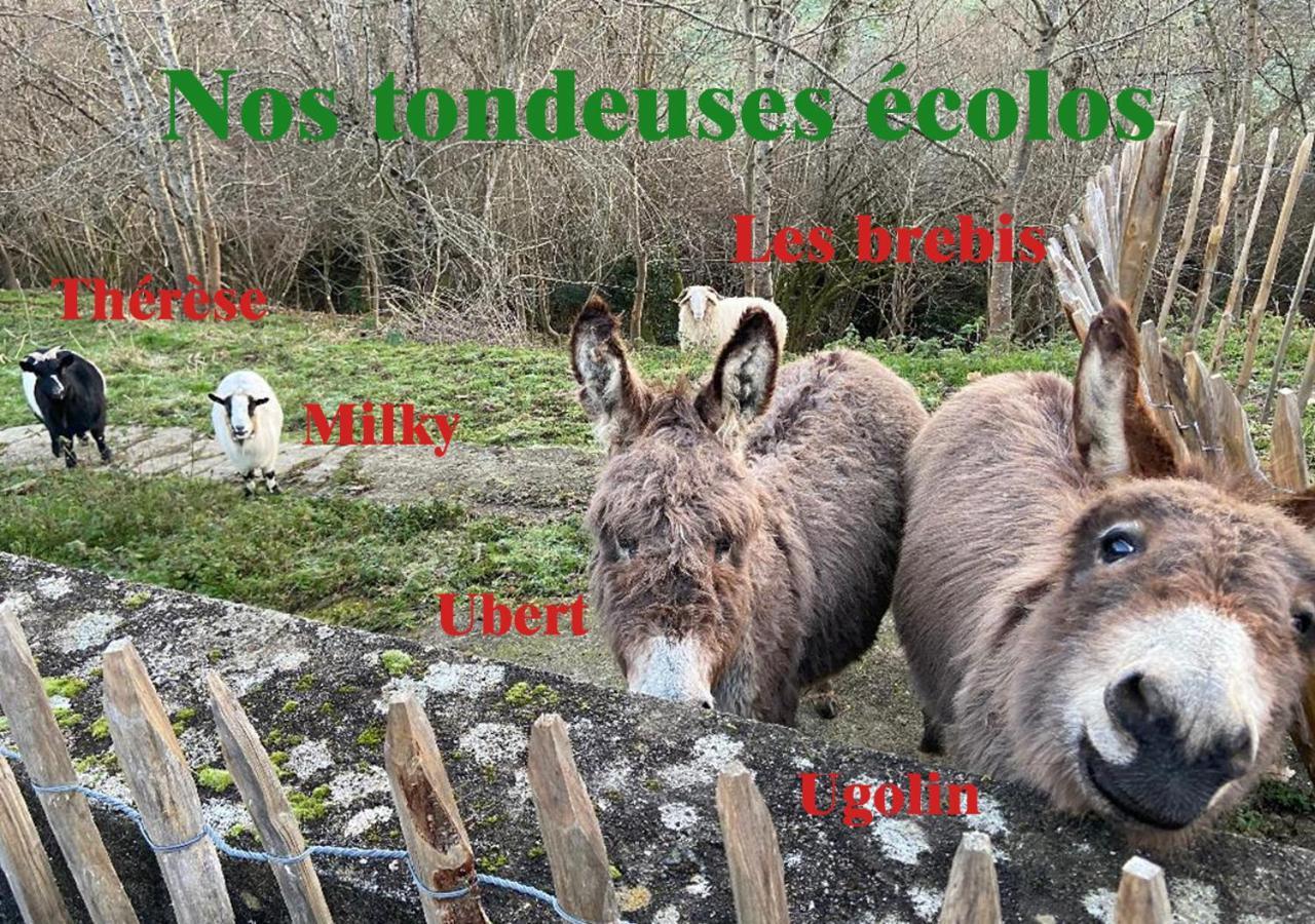 Gite De Lasbareilles Narcastet Buitenkant foto